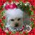 Donna Parisi's profile image
