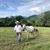 Jose Antonio Santana Vega's profile image