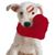 David Scot Jones's profile image
