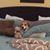 Gretchen Rauch's profile image