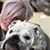 Sandra Jereaw's profile image