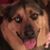 Carolyn Louise Trice's profile image