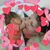 Kathy Moore Hall's profile image