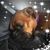 Sara Smith Blow's profile image