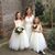 Amy Wilson Fitzgerald's profile image