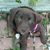 Marcia Fortman's profile image