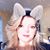 Melissa Hitt Verdel's profile image
