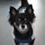 Paula Yerger's profile image
