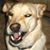 Paul Sycamore's profile image