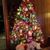 Carole Adamson's profile image