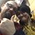 Mick Mickybea Beardsley's profile image