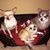 Elizabeth Denney Smith's profile image