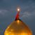Syed Ali Mahmood's profile image