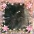 Jacqueline Thomas's profile image