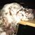 Linda Bailie Culpepper's profile image