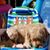 Shelly Christel Schmitt's profile image