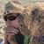 Brenda Shaw's profile image