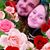 Hasnija Sehic's profile image