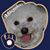 Deann Faul Sippel's profile image