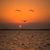 Karen Walther's profile image