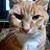 Nancy Fosberg's profile image