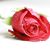 Pam Elet's profile image
