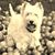 Beata Marciniak's profile image