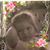 Sulaine Lewis Camacho's profile image