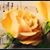 Elizabeth Collazo's profile image