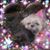 Karen Anderson Munns's profile image