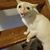 Jonathan Zuniga's profile image