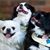 Karen Meisner's profile image