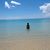 Paula Farrales's profile image