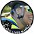 Holly Davis Stuart's profile image