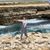 Dima Awad's profile image
