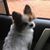 Barbara Baswell Howell's profile image
