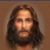 Jim Schutte's profile image
