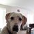 Bentley Skinner's profile image