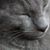Gerald Thompson's profile image