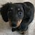 Tracey Brooks's profile image