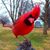 Doug Vaughn's profile image