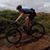 Alan Thurow's profile image