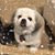 Fred Mahnken's profile image