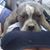 Kimberly Miller's profile image