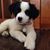 Denise Dutkiewicz Smith's profile image
