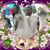 Enilorac Trahkcol's profile image