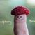 Patti Brown Kavanaugh's profile image