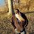 Brett Boswinkle's profile image