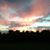 Cindy Allemore's profile image
