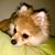 Tracy Yarbrough's profile image